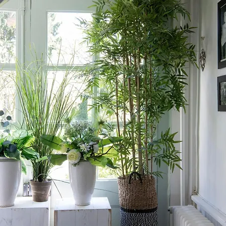 Domaine De Saint-saturnin Casa vacanze