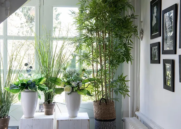 Domaine De Saint-saturnin Holiday home